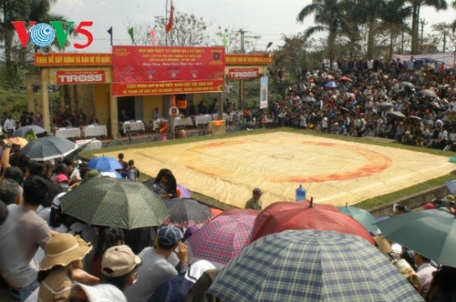 Sới vật Hồng Hà vào xuân - ảnh 1